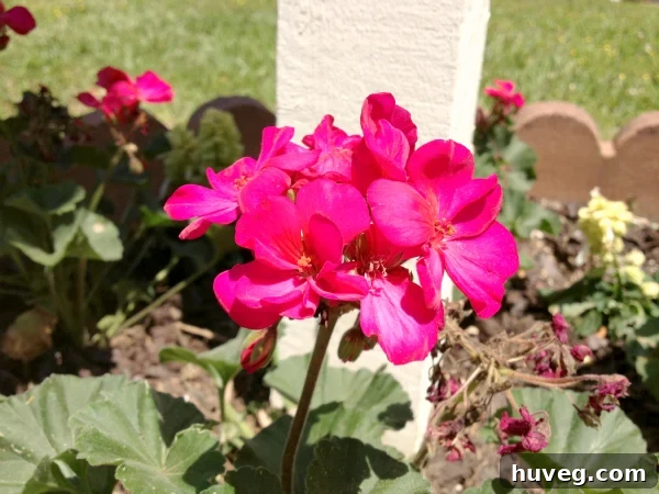 mailbox with flowers, enhancing curb appeal