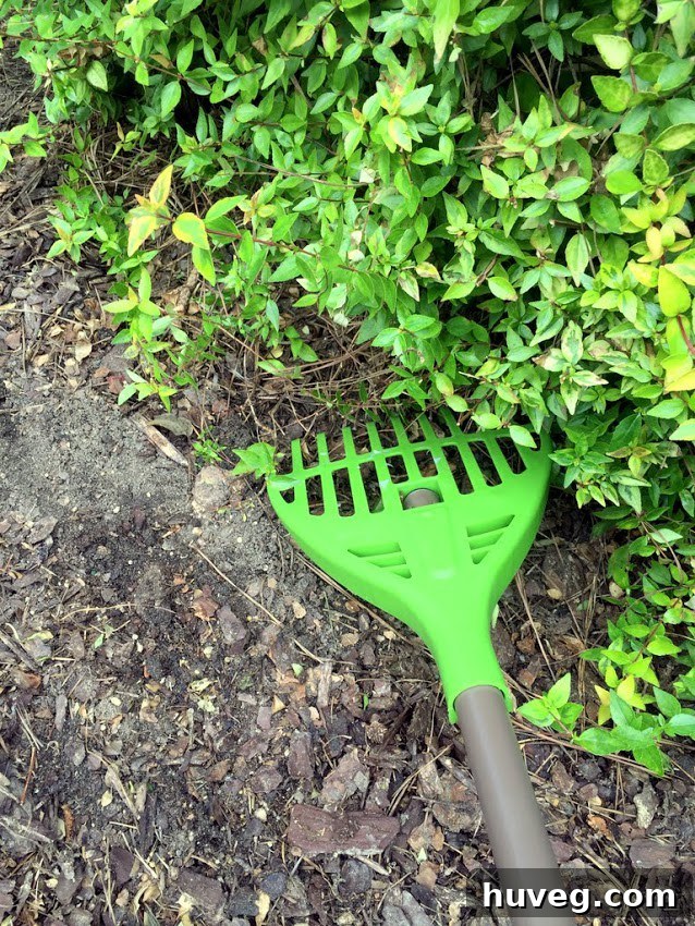 offer to help with curb appeal improvements
