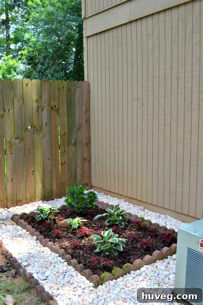 The side of my house with air conditioner-friendly landscaping. 