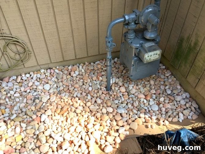 I wanted to find a way to hide the meter in my backyard and my air conditioning unit.