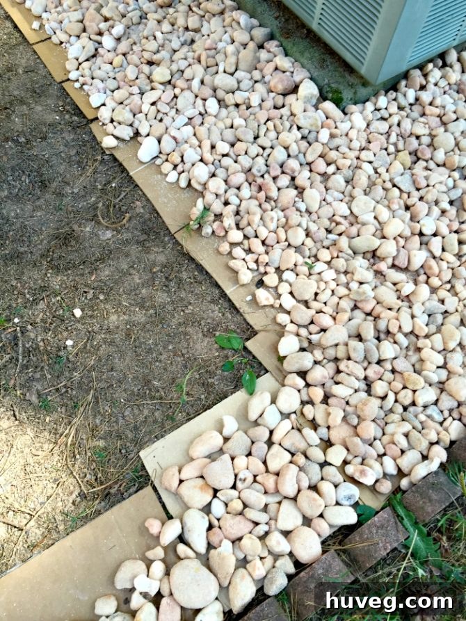 Cardboard weed barrier and egg rock landscaping