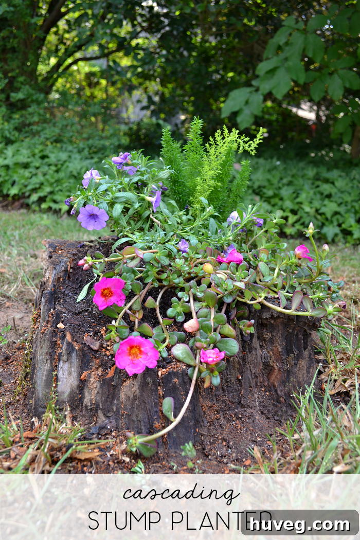 Beautiful cascading stump planter as a centerpiece in a garden