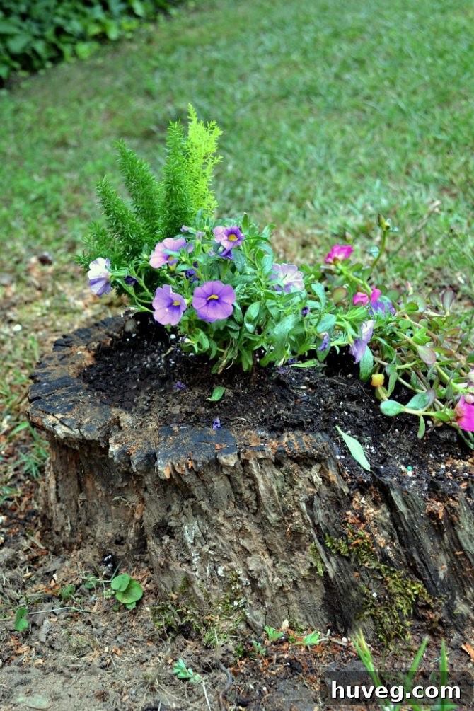 Side view of the finished DIY stump planter with cascading flowers