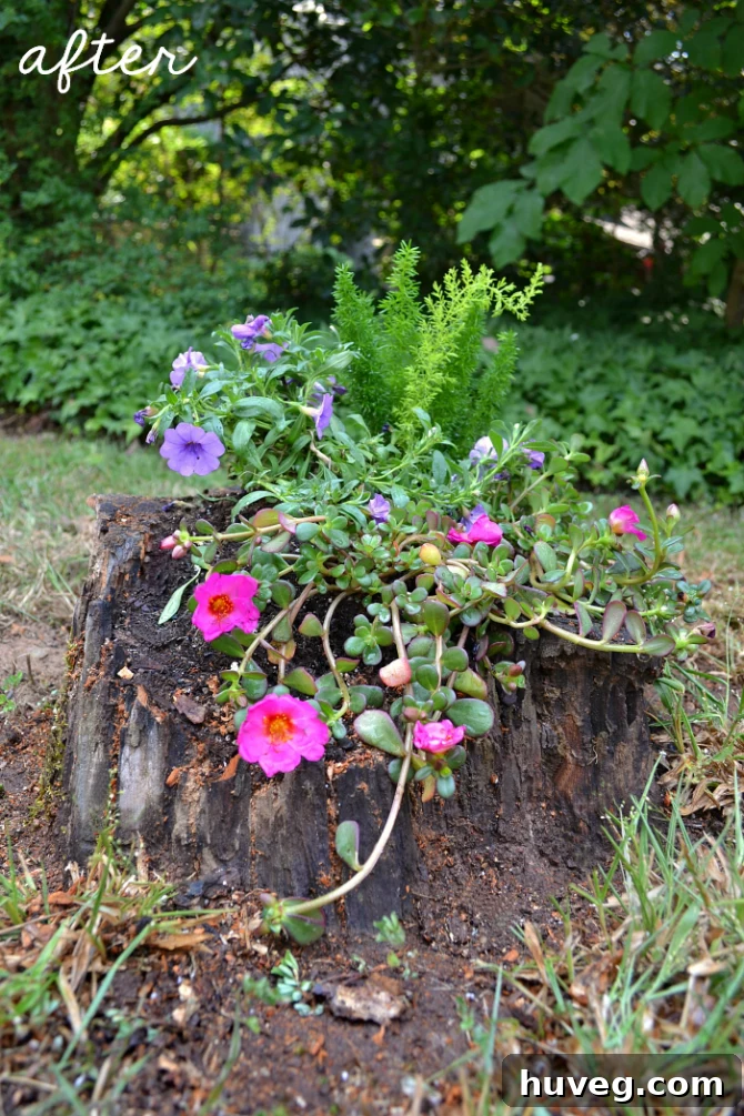 After photo of the beautiful cascading stump planter