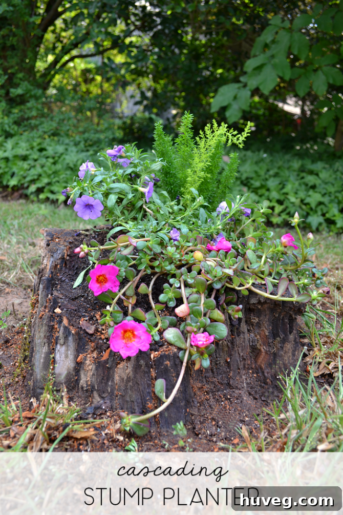 Final image of the cascading stump planter with vibrant flowers