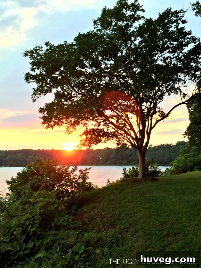 Deltaville Virginia sunset - Peaceful Evening View