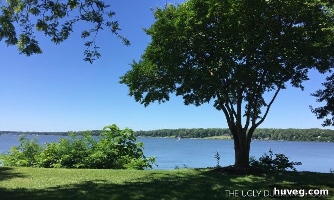 sunny Deltaville river house vacation - Relaxing Waterfront Retreat