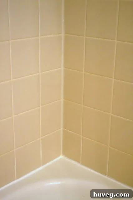 Freshly recaulked shower with clean lines