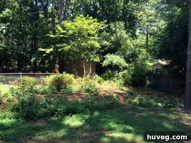 Uneven backyard with dirt mound before major landscaping project