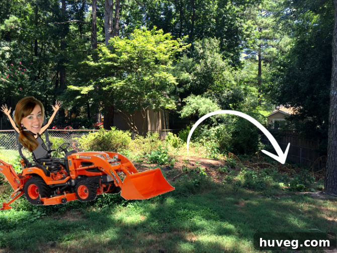 Humorous photoshopped image of the author on a backhoe in the backyard