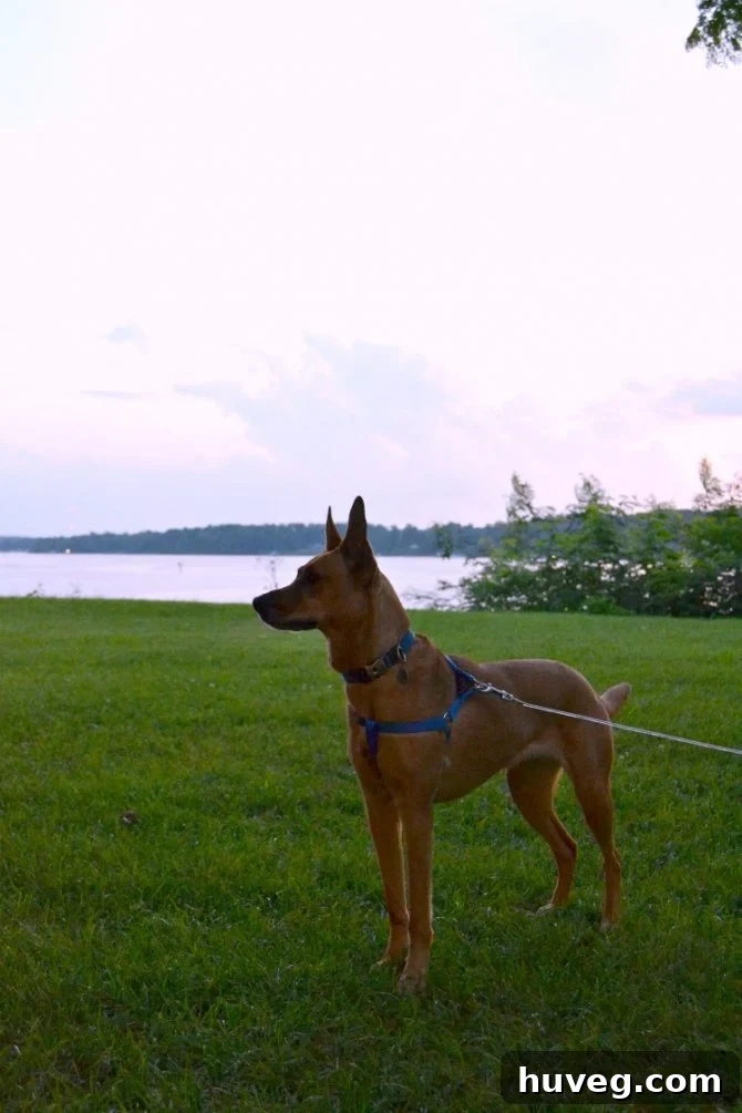 Charlie enjoying Deltaville