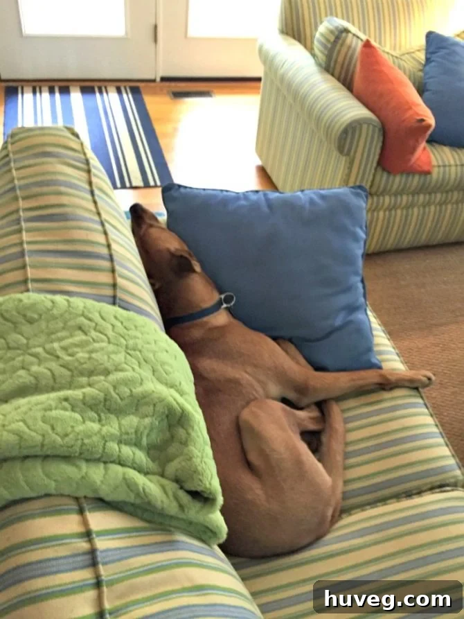 Charlie taking it easy