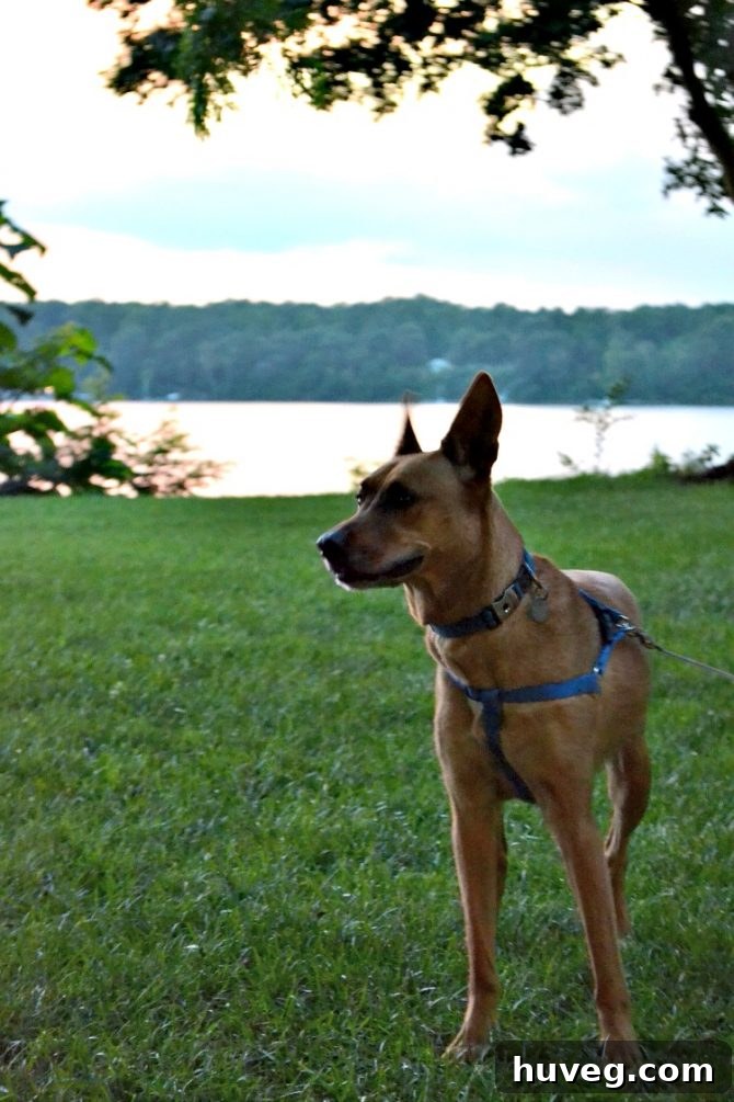 Charlie in Deltaville