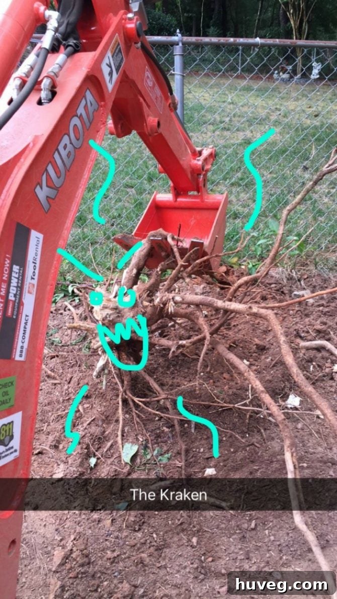 Snapchat pulling out roots - hard work in backyard renovation