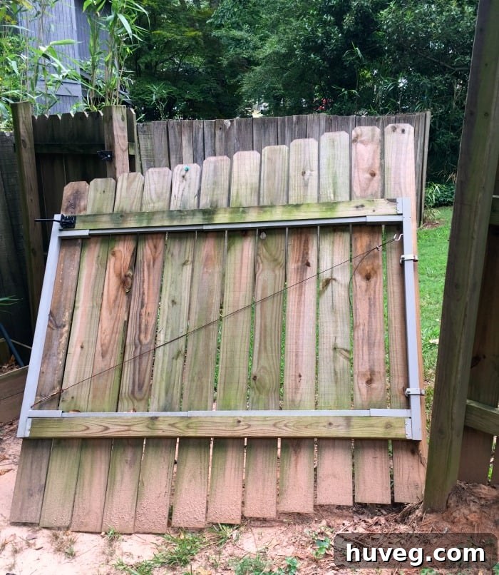 Lifting a heavy gate panel during backyard renovation, illustrating physical effort.