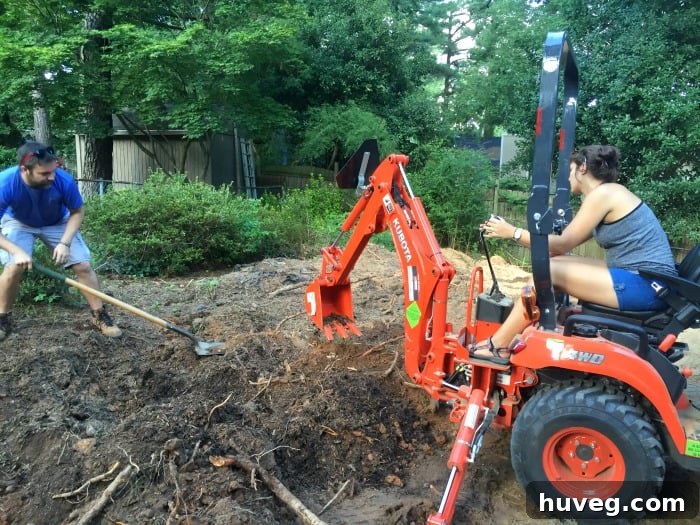 Friends collaboratively helping to remove stubborn roots with the backhoe.