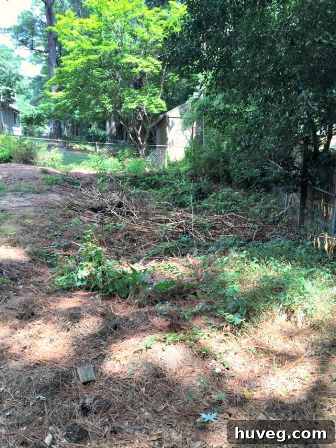 The persistent backyard sinkhole and adjacent debris pit in 2016, awaiting transformation.